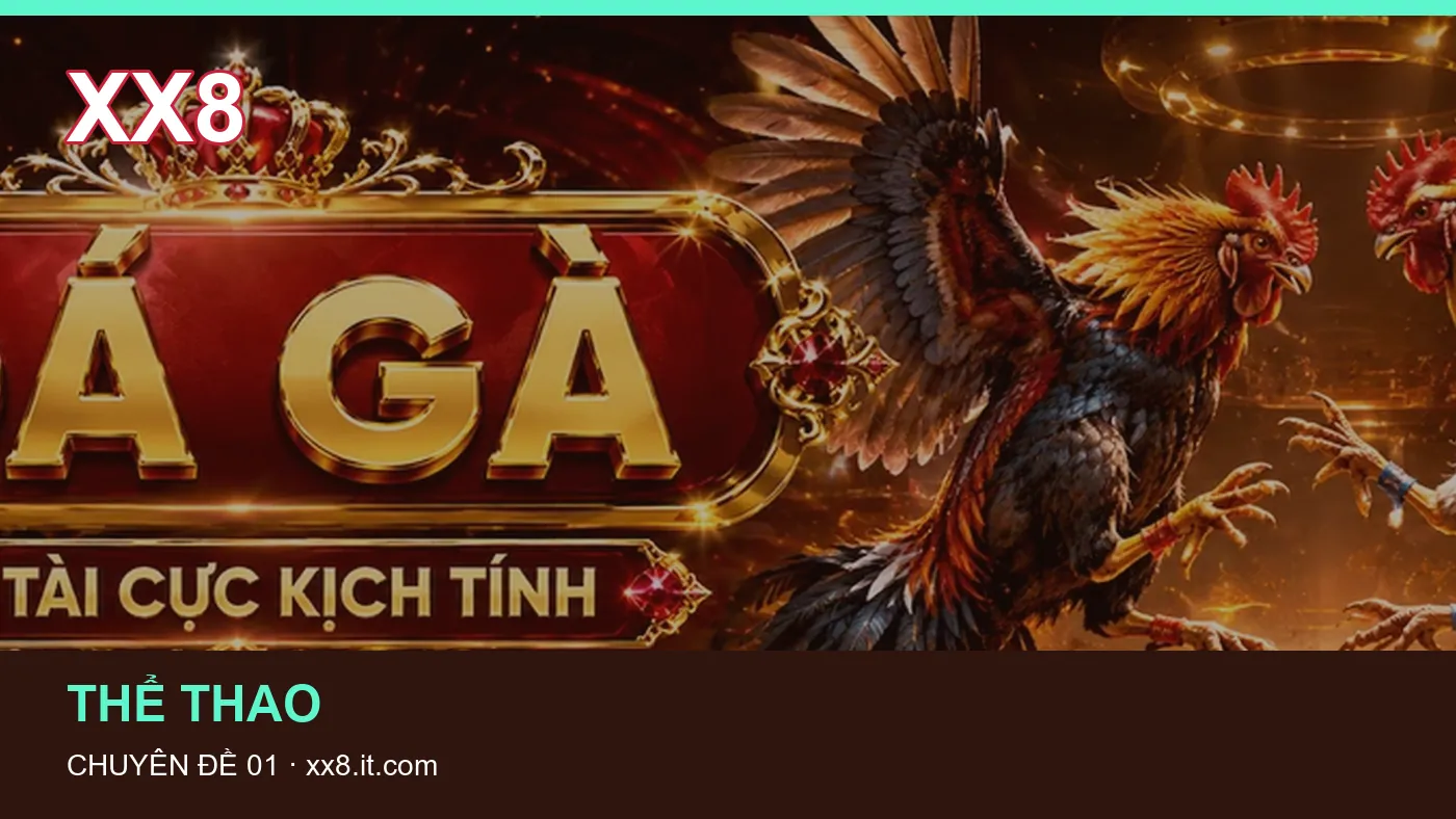 Hình minh họa bài viết XX8