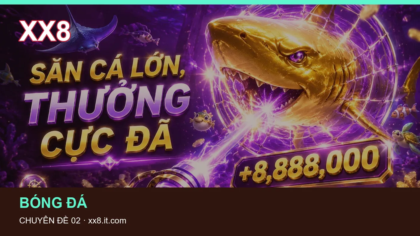 Hình minh họa bài viết XX8