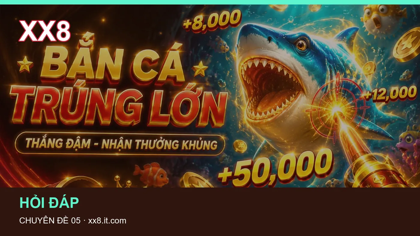 Hình minh họa bài viết XX8