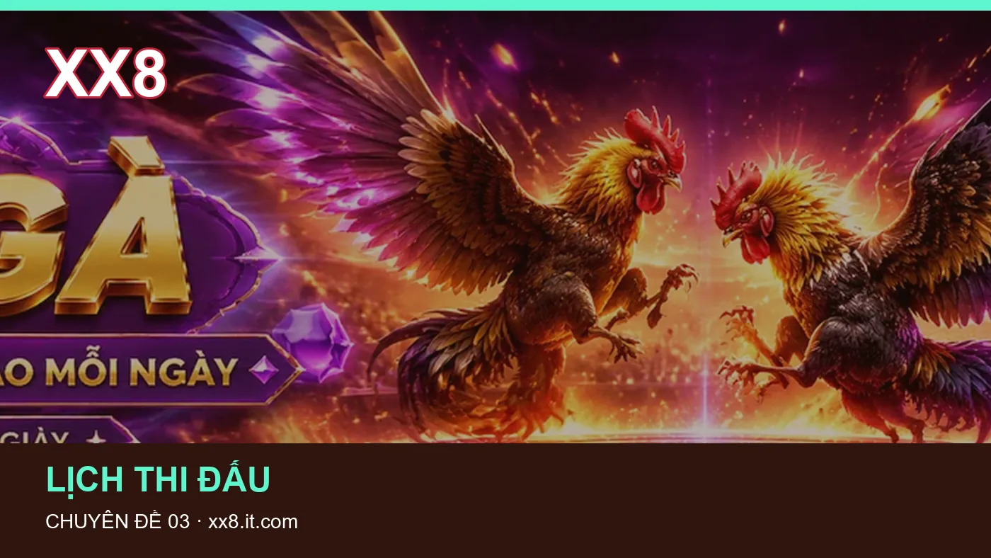 Hình minh họa bài viết XX8