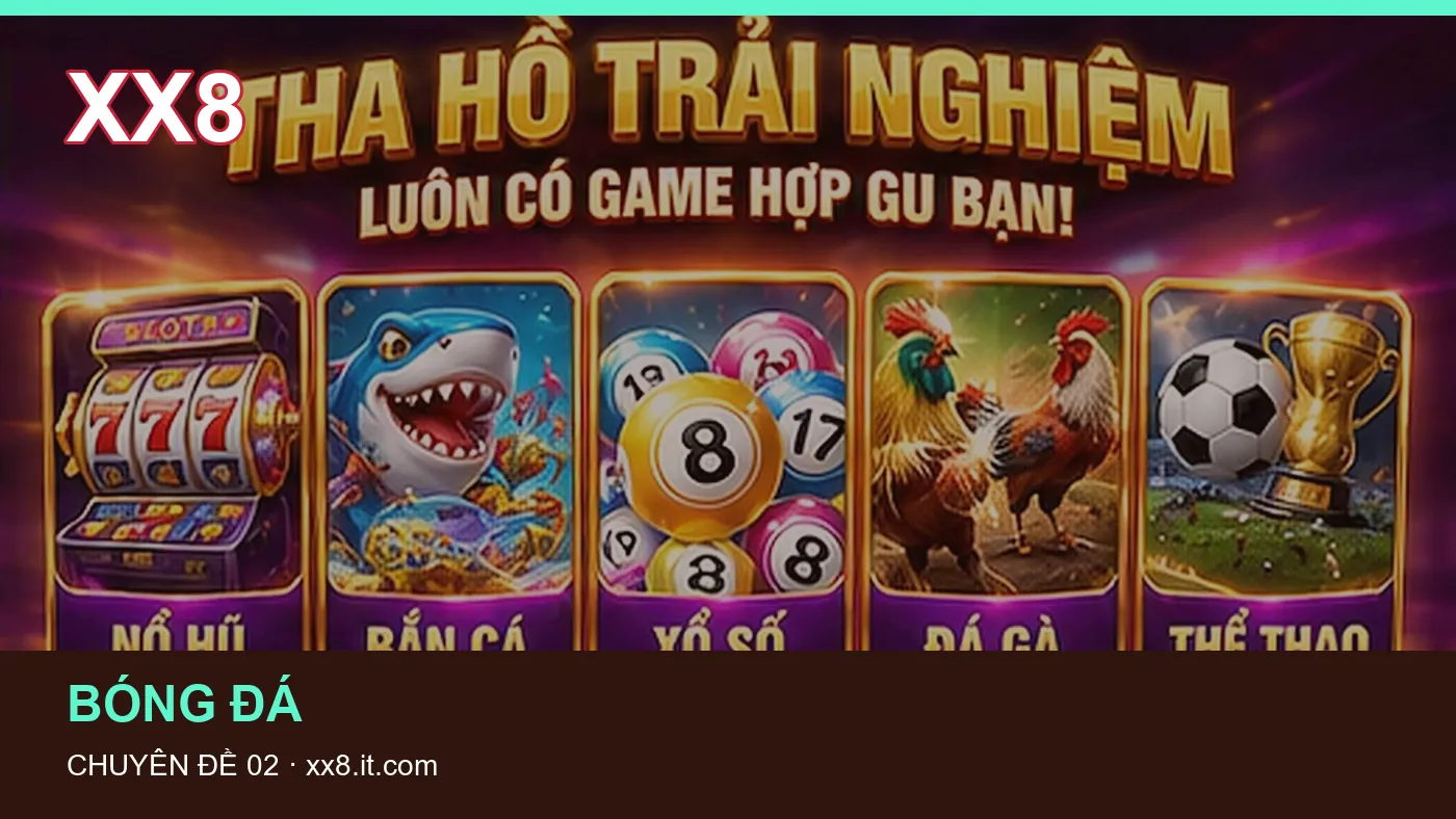 Hình minh họa bài viết XX8