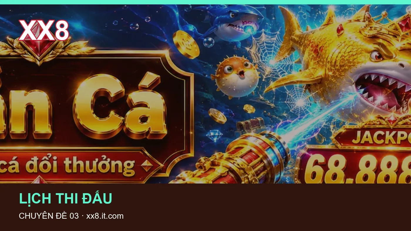 Hình minh họa bài viết XX8