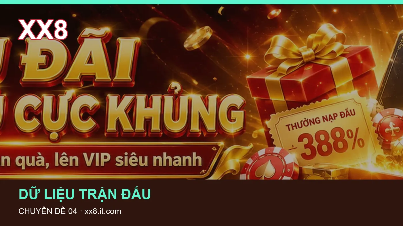 Hình minh họa bài viết XX8
