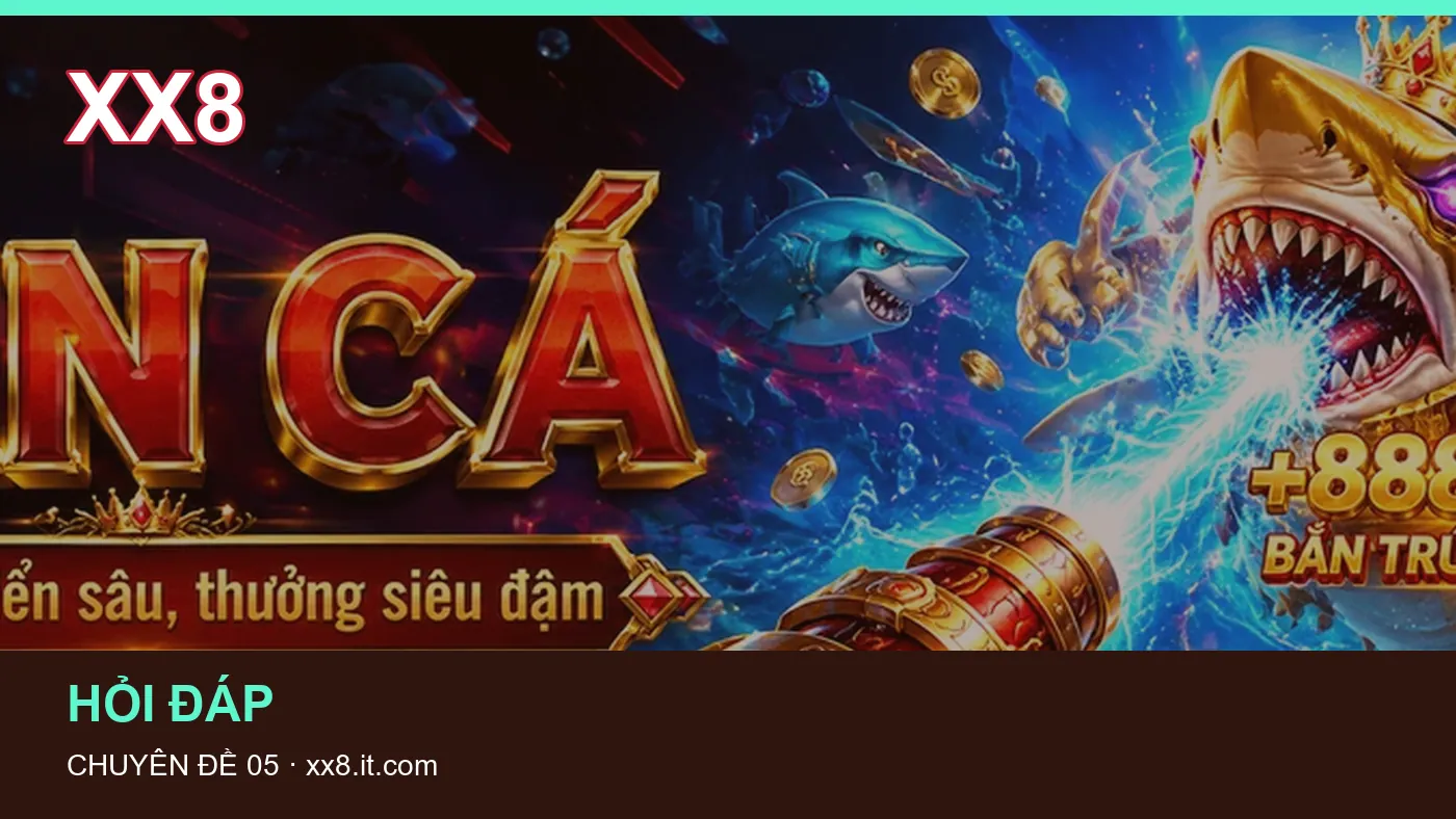 Hình minh họa bài viết XX8