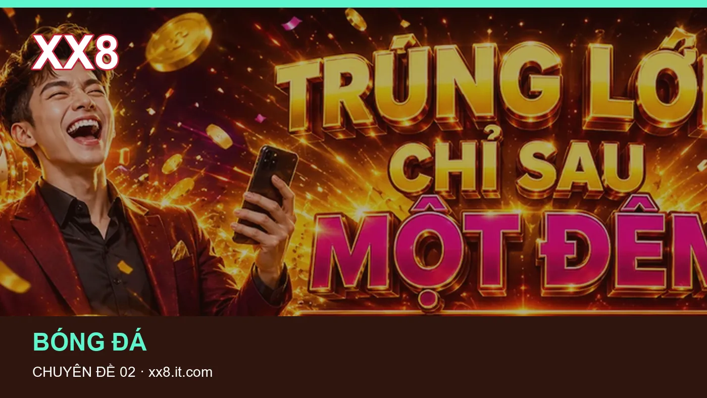 Hình minh họa bài viết XX8
